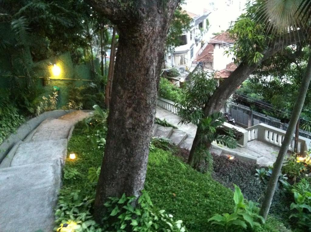 Rio Forest *